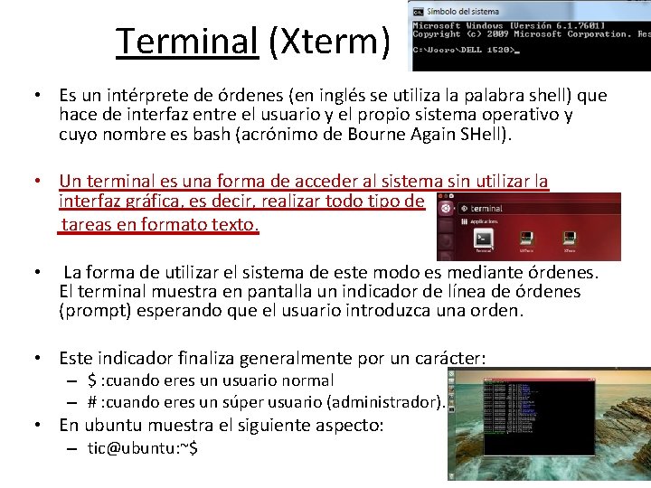 Terminal (Xterm) • Es un intérprete de órdenes (en inglés se utiliza la palabra