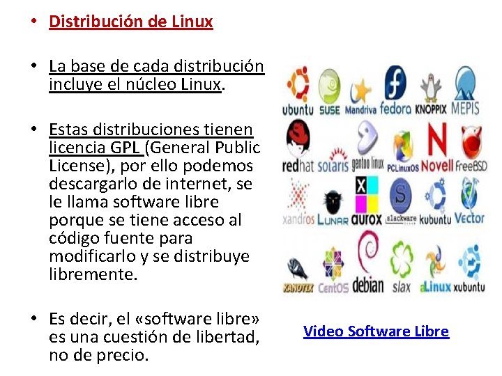 • Distribución de Linux • La base de cada distribución incluye el núcleo