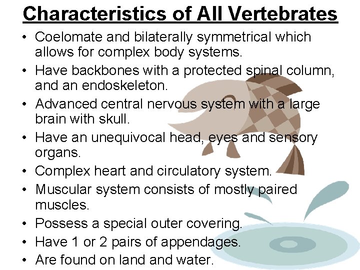 Characteristics of All Vertebrates • Coelomate and bilaterally symmetrical which allows for complex body