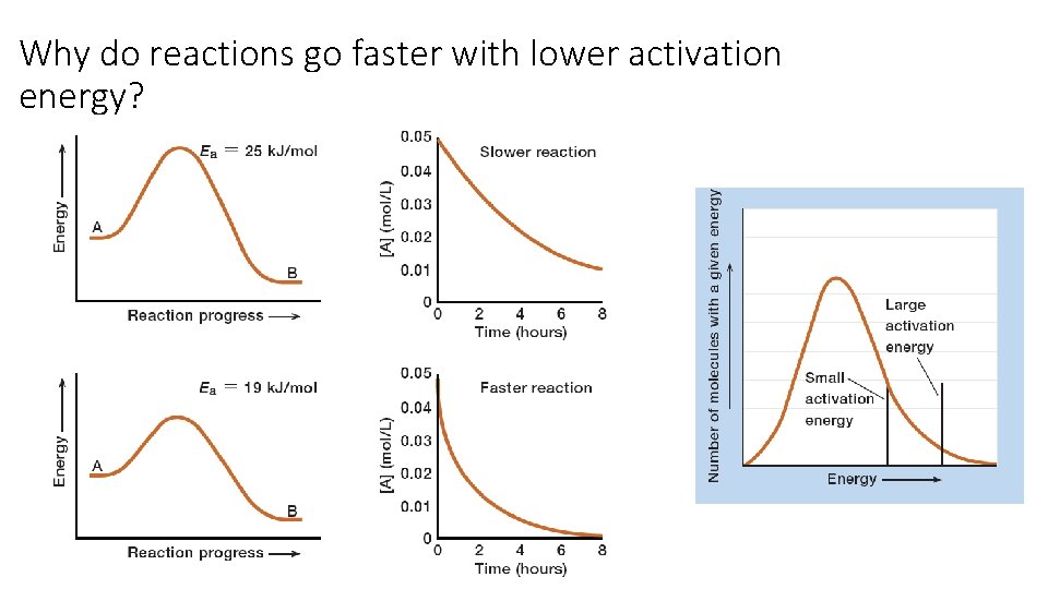 Why do reactions go faster with lower activation energy? Why do reactions go faster with lower activation energy?