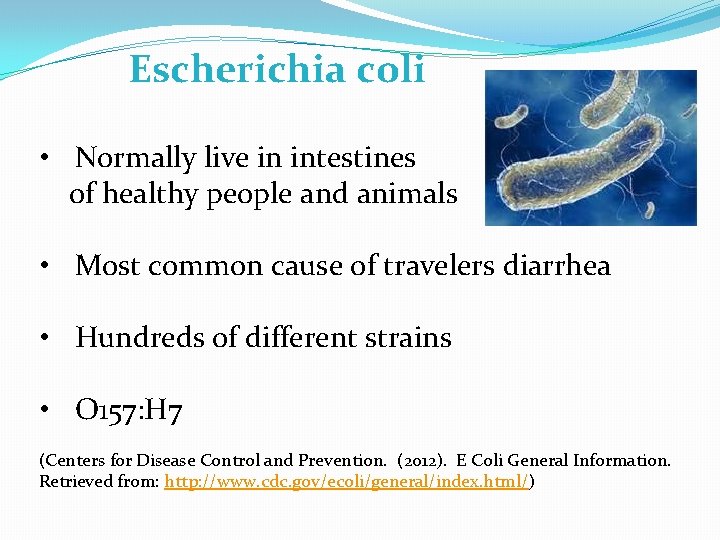 Escherichia coli • Normally live in intestines of healthy people and animals • Most