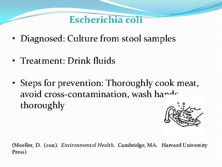 Escherichia coli • Diagnosed: Culture from stool samples • Treatment: Drink fluids • Steps