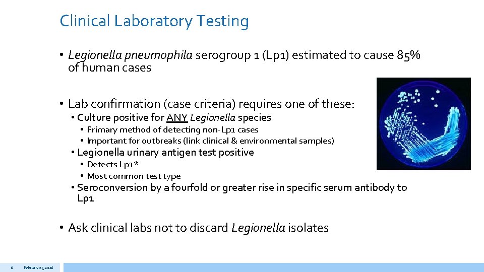 Clinical Laboratory Testing • Legionella pneumophila serogroup 1 (Lp 1) estimated to cause 85%