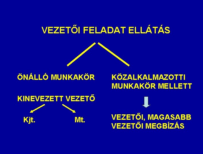 VEZETŐI FELADAT ELLÁTÁS ÖNÁLLÓ MUNKAKÖR KÖZALKALMAZOTTI MUNKAKÖR MELLETT KINEVEZETT VEZETŐ Kjt. Mt. VEZETŐI, MAGASABB