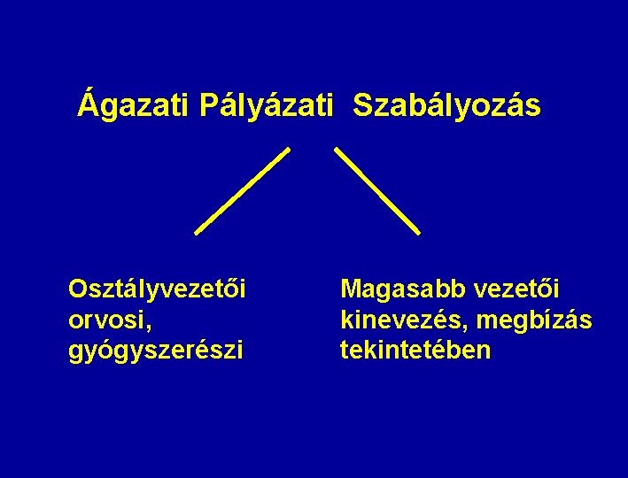 Ágazati Pályázati Szabályozás Osztályvezetői orvosi, gyógyszerészi Magasabb vezetői kinevezés, megbízás tekintetében 