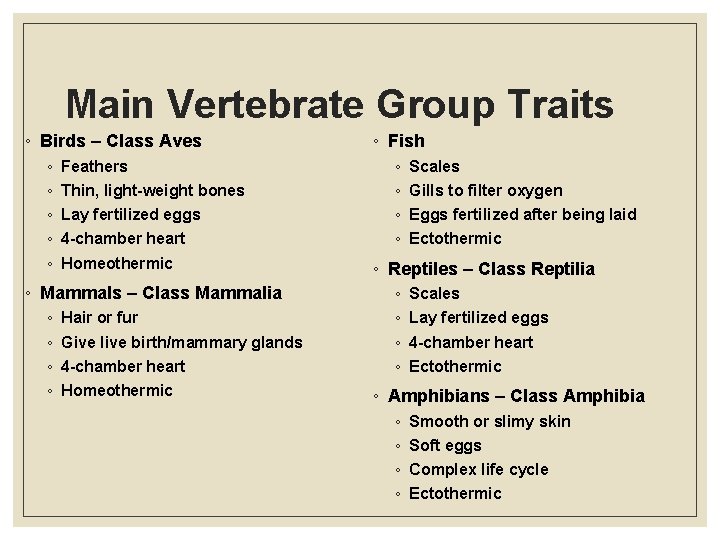Main Vertebrate Group Traits ◦ Birds – Class Aves ◦ ◦ ◦ Feathers Thin,