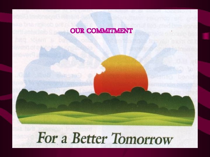 OUR COMMITMENT 