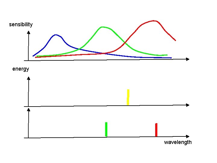 sensibility energy wavelength 