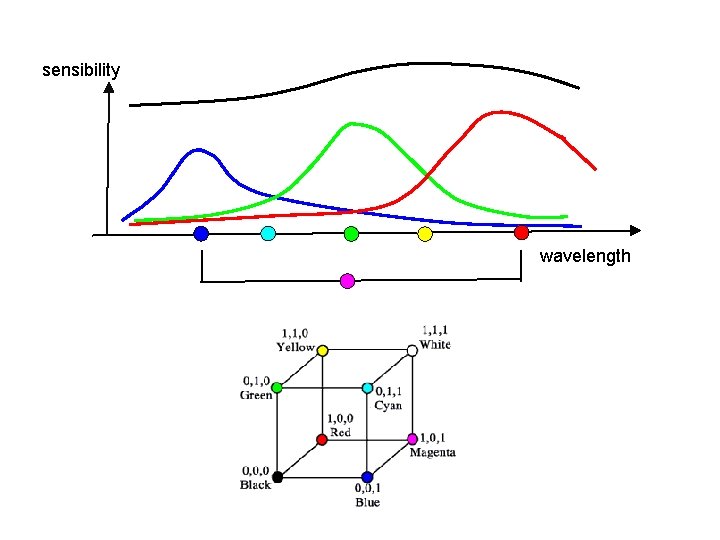 sensibility wavelength 