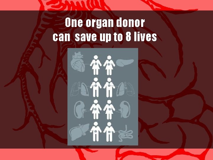 One organ donor can save up to 8 lives 