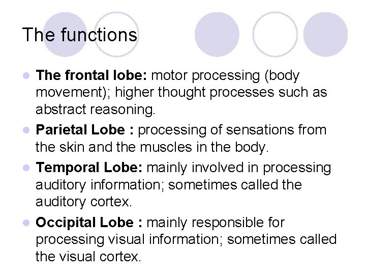 The functions The frontal lobe: motor processing (body movement); higher thought processes such as