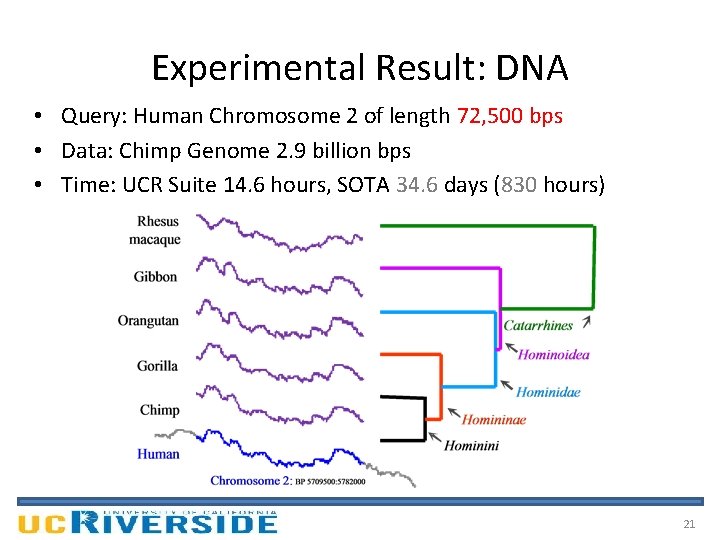 Experimental Result: DNA • Query: Human Chromosome 2 of length 72, 500 bps •