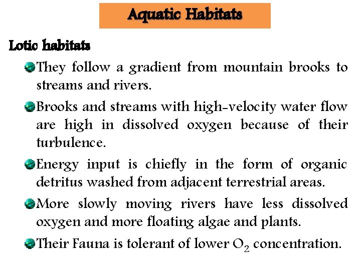 Aquatic Habitats Lotic habitats They follow a gradient from mountain brooks to streams and