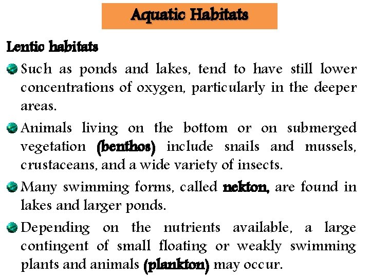 Aquatic Habitats Lentic habitats Such as ponds and lakes, tend to have still lower