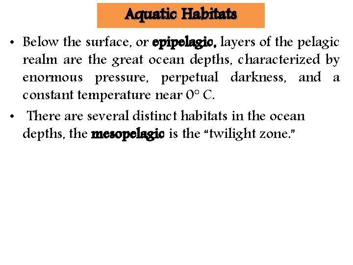 Aquatic Habitats • Below the surface, or epipelagic, layers of the pelagic realm are