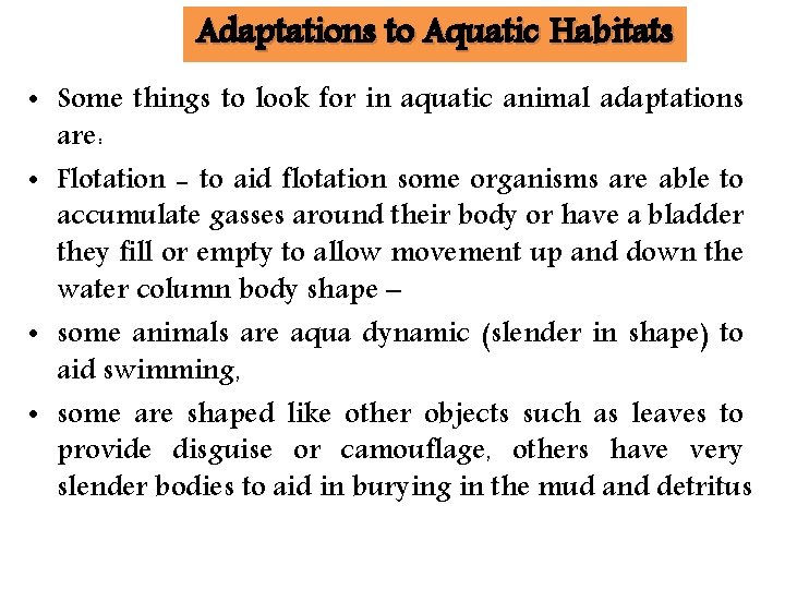 Adaptations to Aquatic Habitats • Some things to look for in aquatic animal adaptations