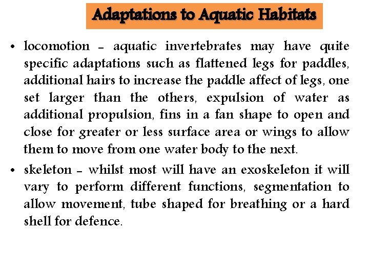 Adaptations to Aquatic Habitats • locomotion - aquatic invertebrates may have quite specific adaptations