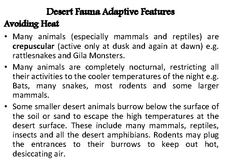 Desert Fauna Adaptive Features Avoiding Heat • Many animals (especially mammals and reptiles) are