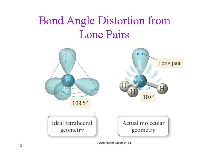 Bond Angle Distortion from Lone Pairs 42 