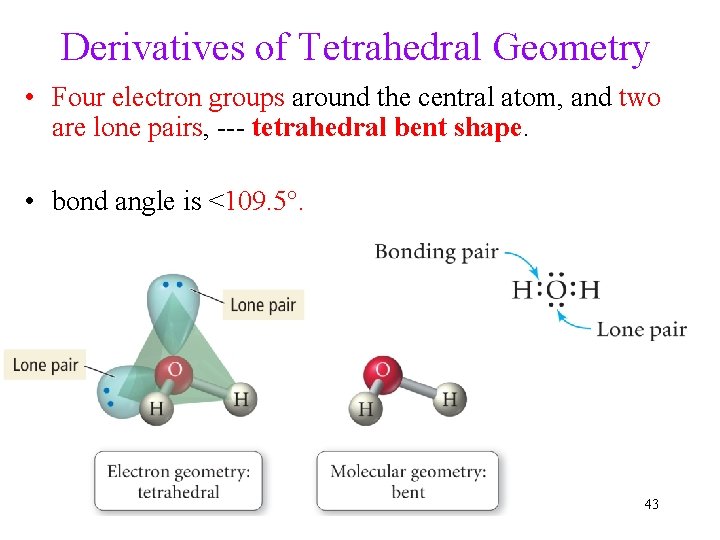 Derivatives of Tetrahedral Geometry • Four electron groups around the central atom, and two