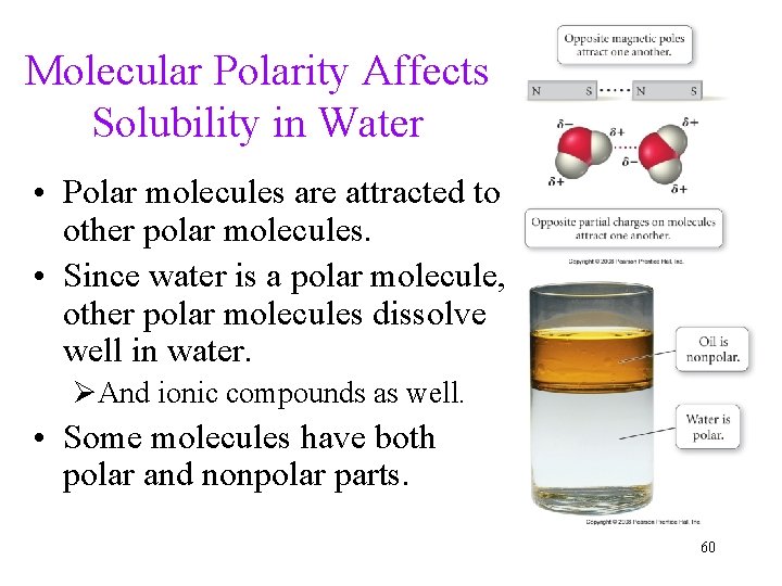 Molecular Polarity Affects Solubility in Water • Polar molecules are attracted to other polar