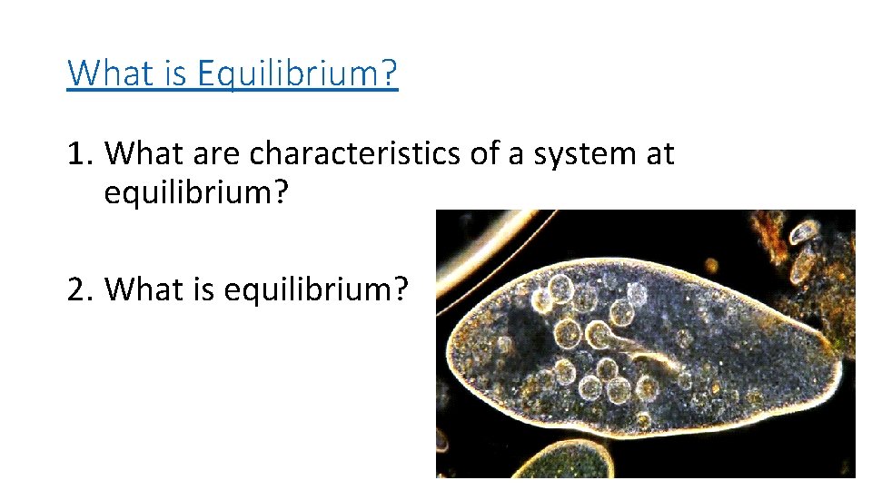 What is Equilibrium? 1. What are characteristics of a system at equilibrium? 2. What
