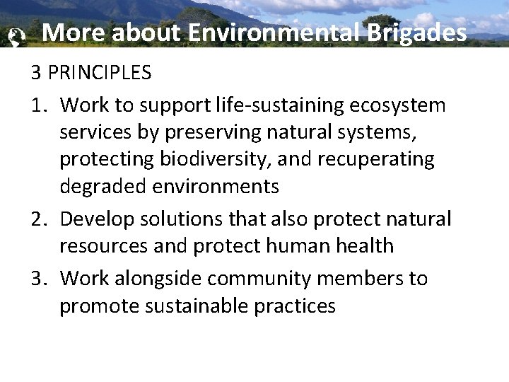 Global Brigades, Inc. Copyright 2009 More about Environmental Brigades 3 PRINCIPLES 1. Work to