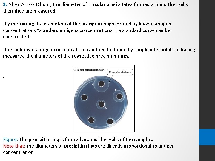 3. After 24 to 48 hour, the diameter of circular precipitates formed around the