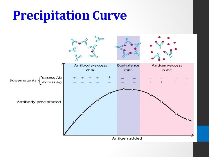 Precipitation Curve 