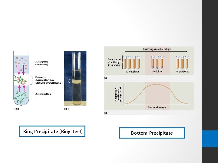 Ring Precipitate (Ring Test) Bottom Precipitate 