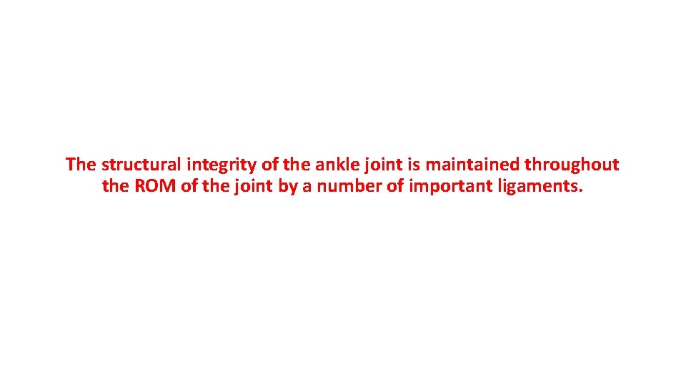 The structural integrity of the ankle joint is maintained throughout the ROM of the