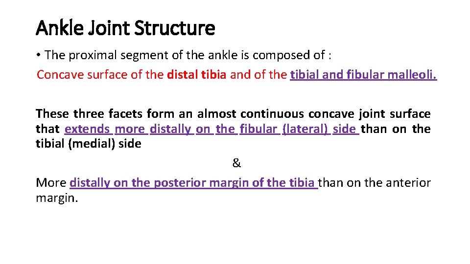 Ankle Joint Structure • The proximal segment of the ankle is composed of :
