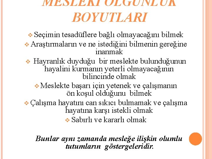 MESLEKİ OLGUNLUK BOYUTLARI v Seçimin tesadüflere bağlı olmayacağını bilmek v Araştırmaların ve ne istediğini