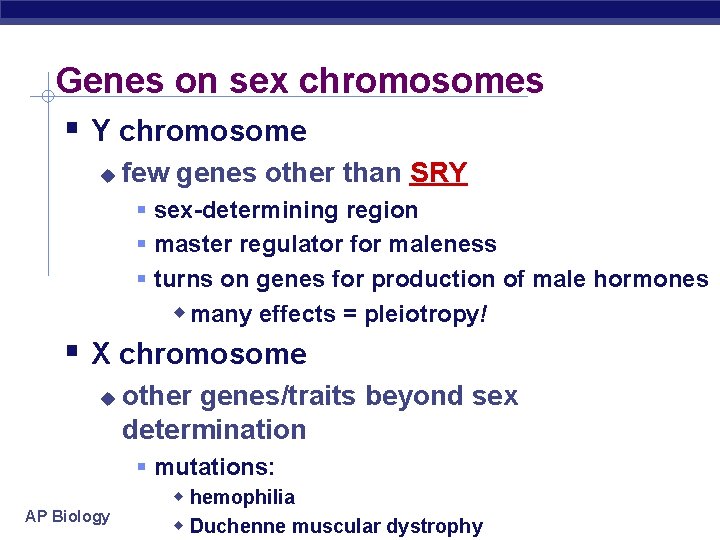 Genes on sex chromosomes Y chromosome few genes other than SRY sex-determining region master