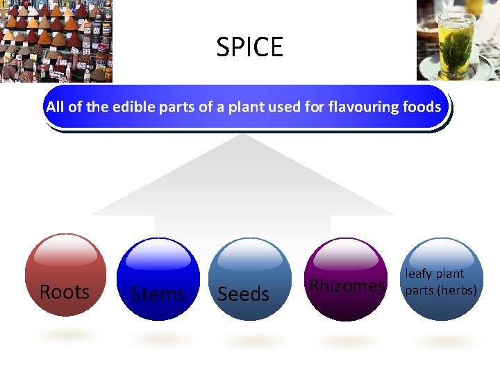 SPICE All of the edible parts of a plant used for flavouring foods Roots