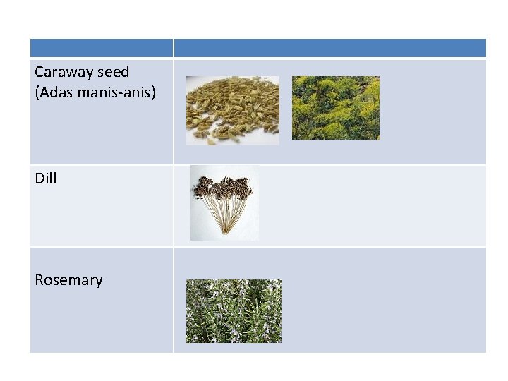 Caraway seed (Adas manis-anis) Dill Rosemary 