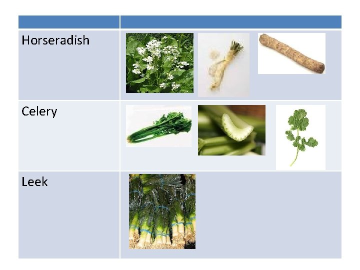 Horseradish Celery Leek 