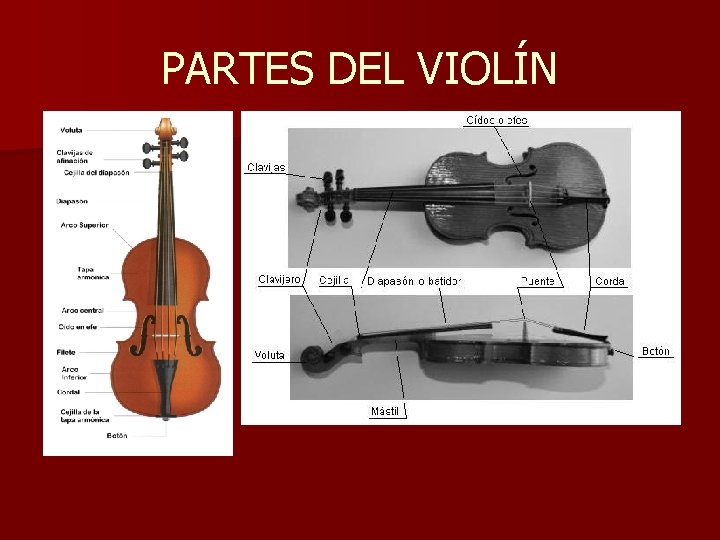 PARTES DEL VIOLÍN 