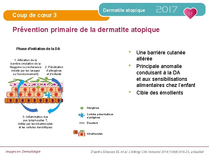 Dermatite atopique Coup de cœur 3 17 Prévention primaire de la dermatite atopique Phase