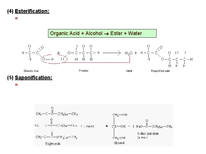 (4) Esterification: = Organic Acid + Alcohol Ester + Water (5) Saponification: = 