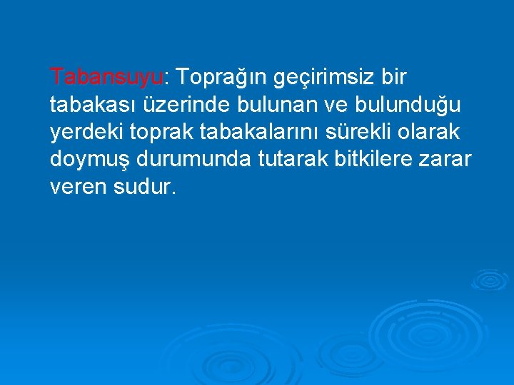 Tabansuyu: Toprağın geçirimsiz bir tabakası üzerinde bulunan ve bulunduğu yerdeki toprak tabakalarını sürekli olarak