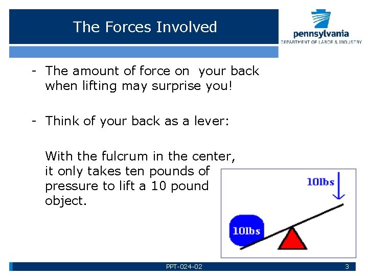 The Forces Involved - The amount of force on your back when lifting may