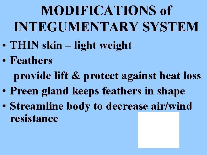 MODIFICATIONS of INTEGUMENTARY SYSTEM • THIN skin – light weight • Feathers provide lift