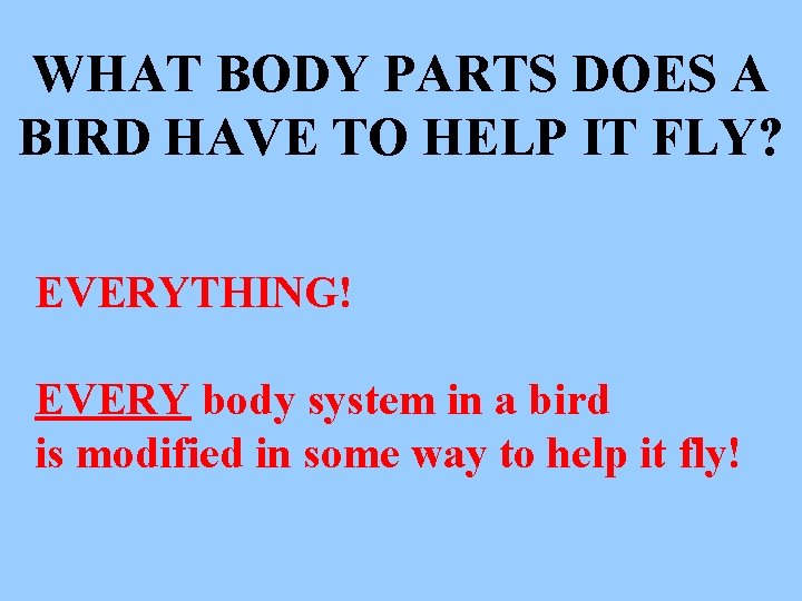 WHAT BODY PARTS DOES A BIRD HAVE TO HELP IT FLY? EVERYTHING! EVERY body