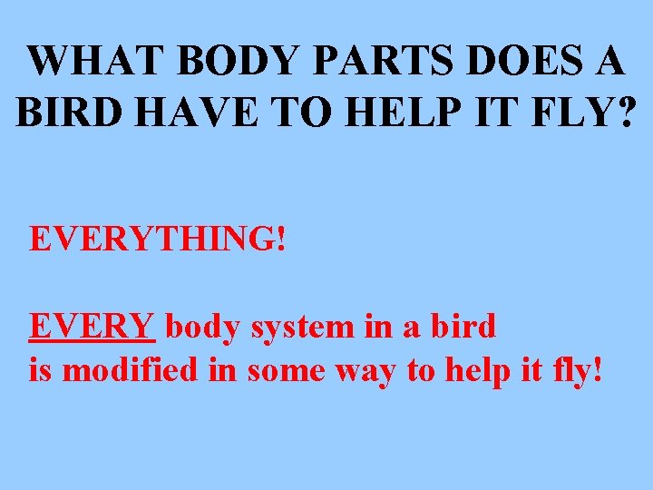 WHAT BODY PARTS DOES A BIRD HAVE TO HELP IT FLY? EVERYTHING! EVERY body