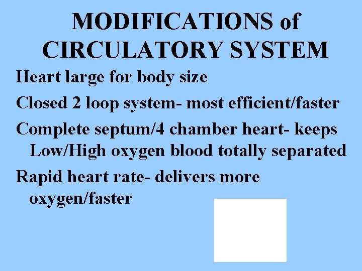 MODIFICATIONS of CIRCULATORY SYSTEM Heart large for body size Closed 2 loop system- most