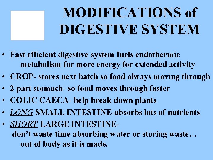 MODIFICATIONS of DIGESTIVE SYSTEM • Fast efficient digestive system fuels endothermic metabolism for more