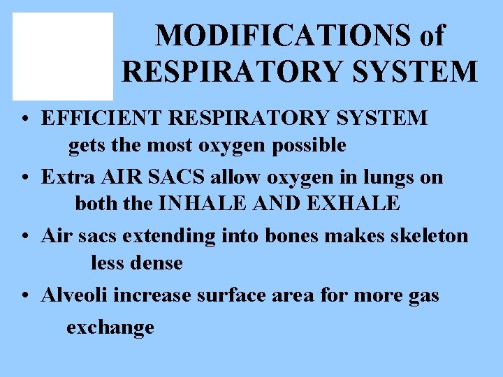 MODIFICATIONS of RESPIRATORY SYSTEM • EFFICIENT RESPIRATORY SYSTEM gets the most oxygen possible •