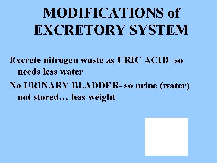 MODIFICATIONS of EXCRETORY SYSTEM Excrete nitrogen waste as URIC ACID- so needs less water