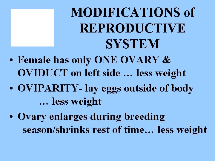 MODIFICATIONS of REPRODUCTIVE SYSTEM • Female has only ONE OVARY & OVIDUCT on left